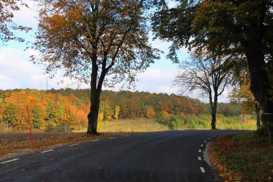 fall outdoors