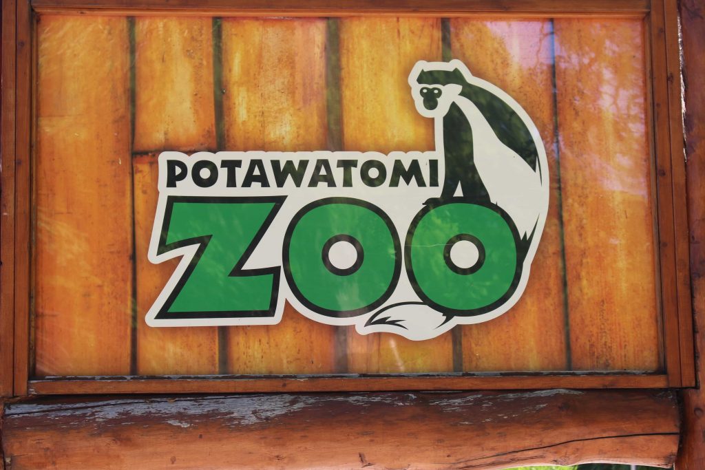 Potawatomi Zoo seeking help with naming panda cub - 95.3 MNC