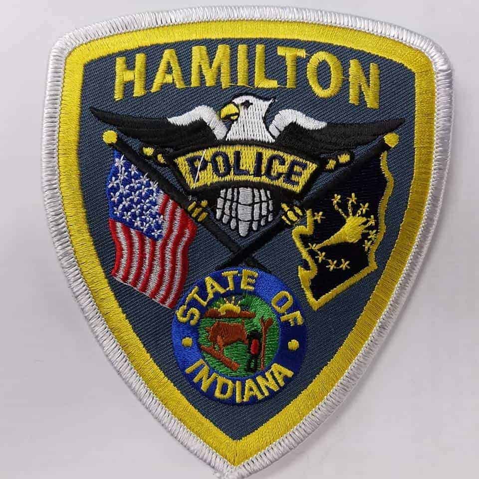 Herd of bison escape from Indiana farm, prompting warning 95.3 MNC