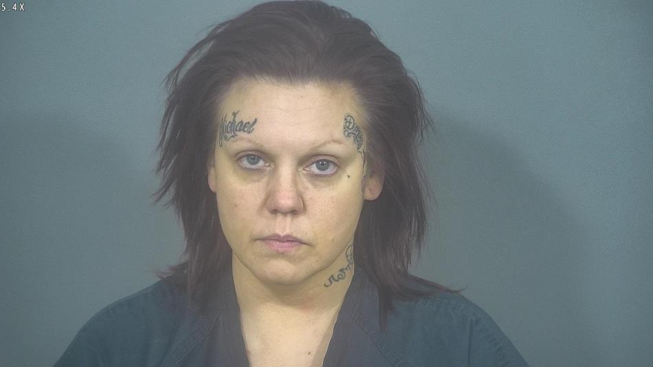 Two arrested in St. Joseph County drug bust 95.3 MNC