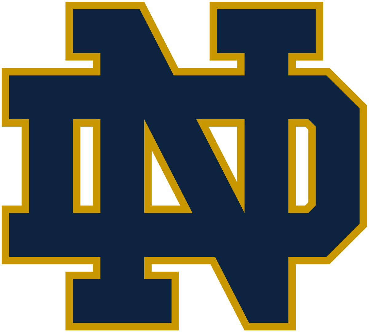 New Notre Dame Basketball head coach talks about plans, excited for