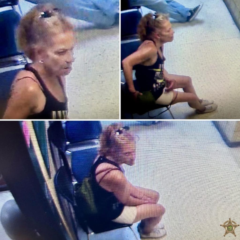 LaPorte County Police asking for help finding theft suspect - 95.3 MNC
