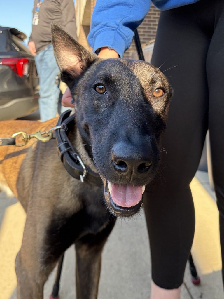 St. Joseph Department of Public Safety adds new K-9 officer - 95.3 MNC